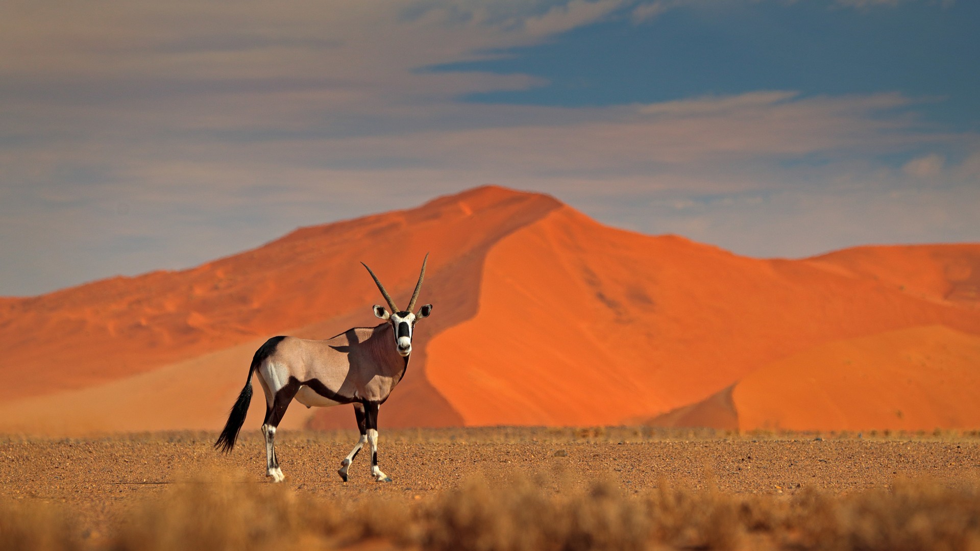 Dachzeltcamping in Namibia - weniger ist mehr